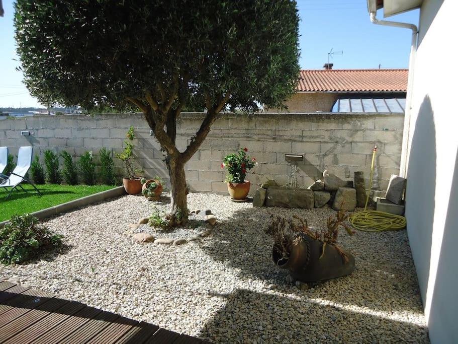 House With Pool Casa Da Faia - Aveiro Villa Avanca Exterior photo